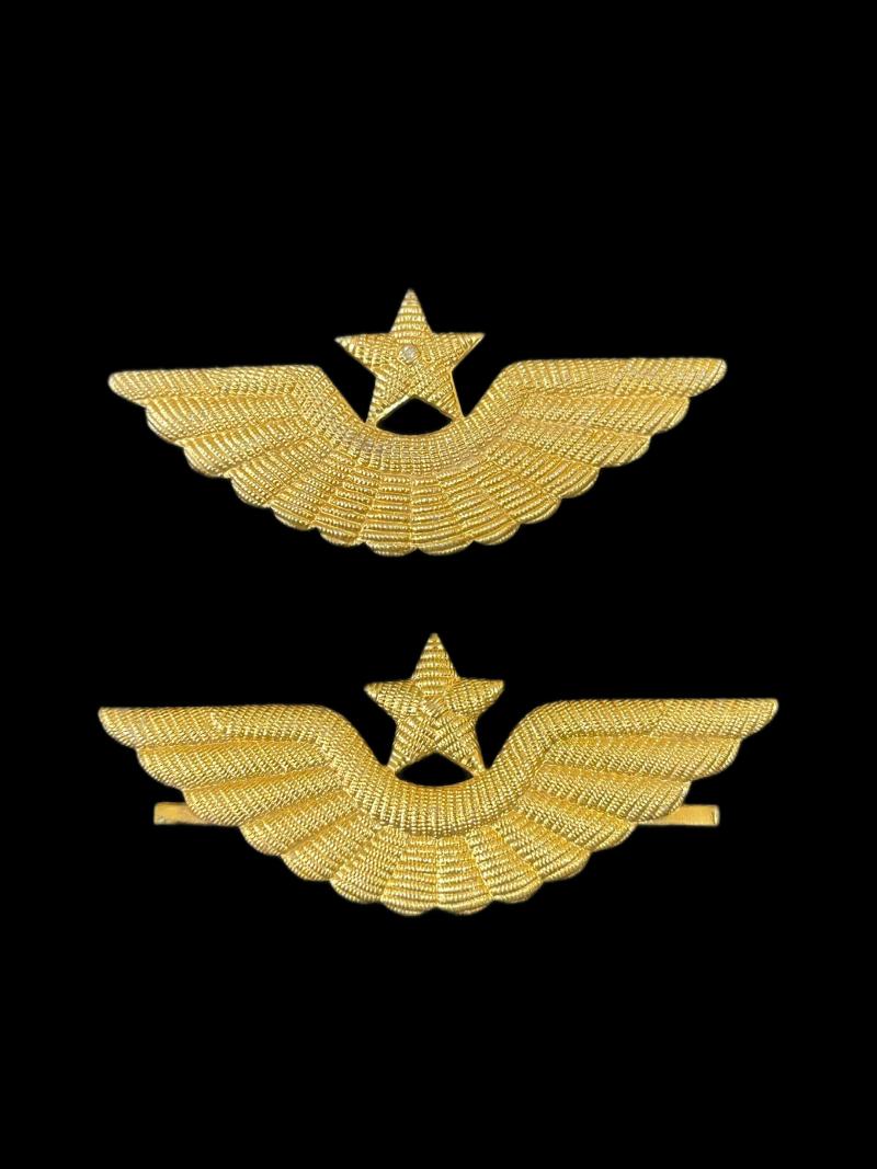 2 X SOVIET AIR FORCE VISOR CAP BADGE