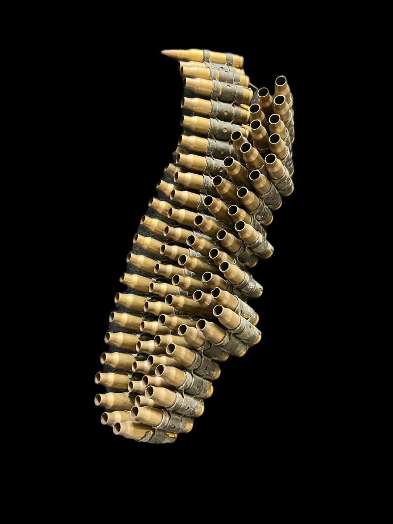 80 X 5.56 INERT CASES ON LINK
