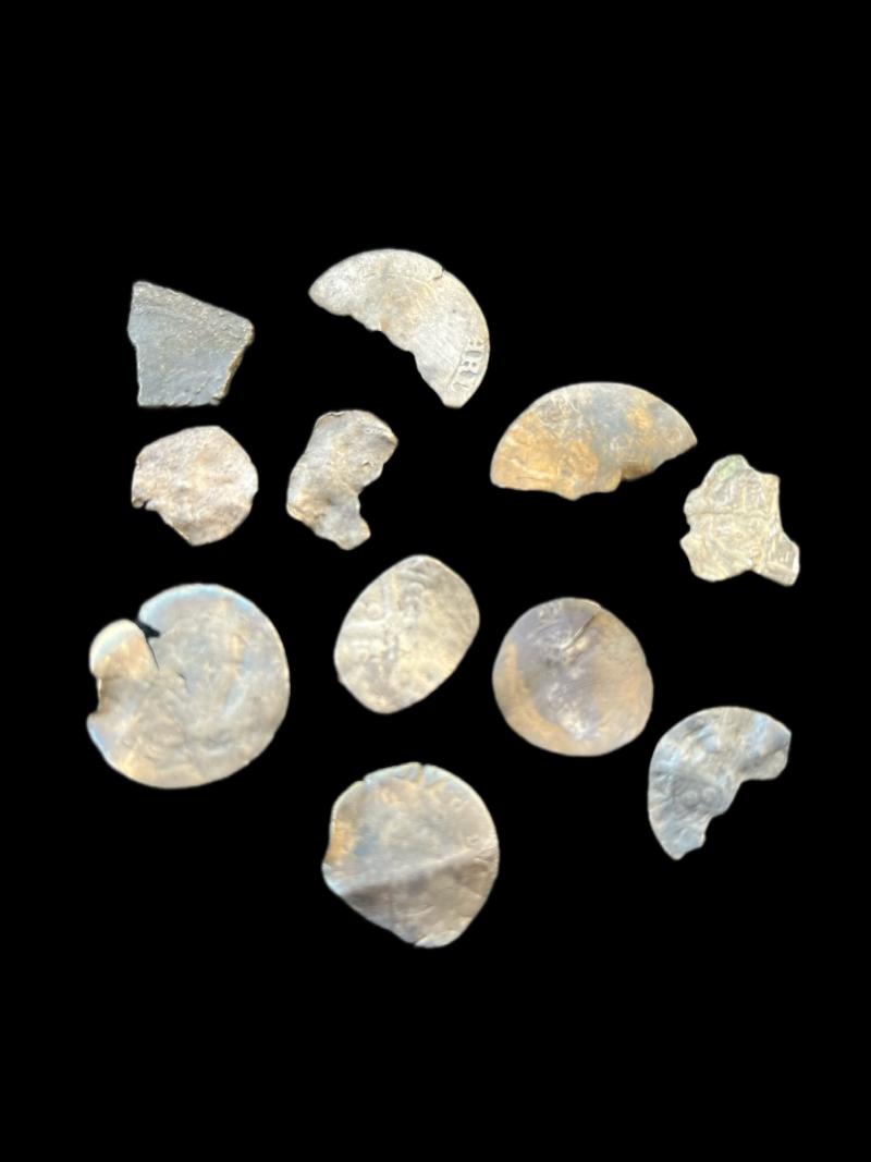 11 x SILVER COINS/PIECES