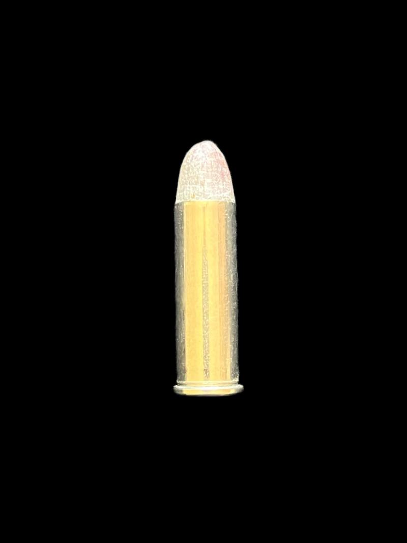 .38 SPL WINCHESTER INERT ROUND