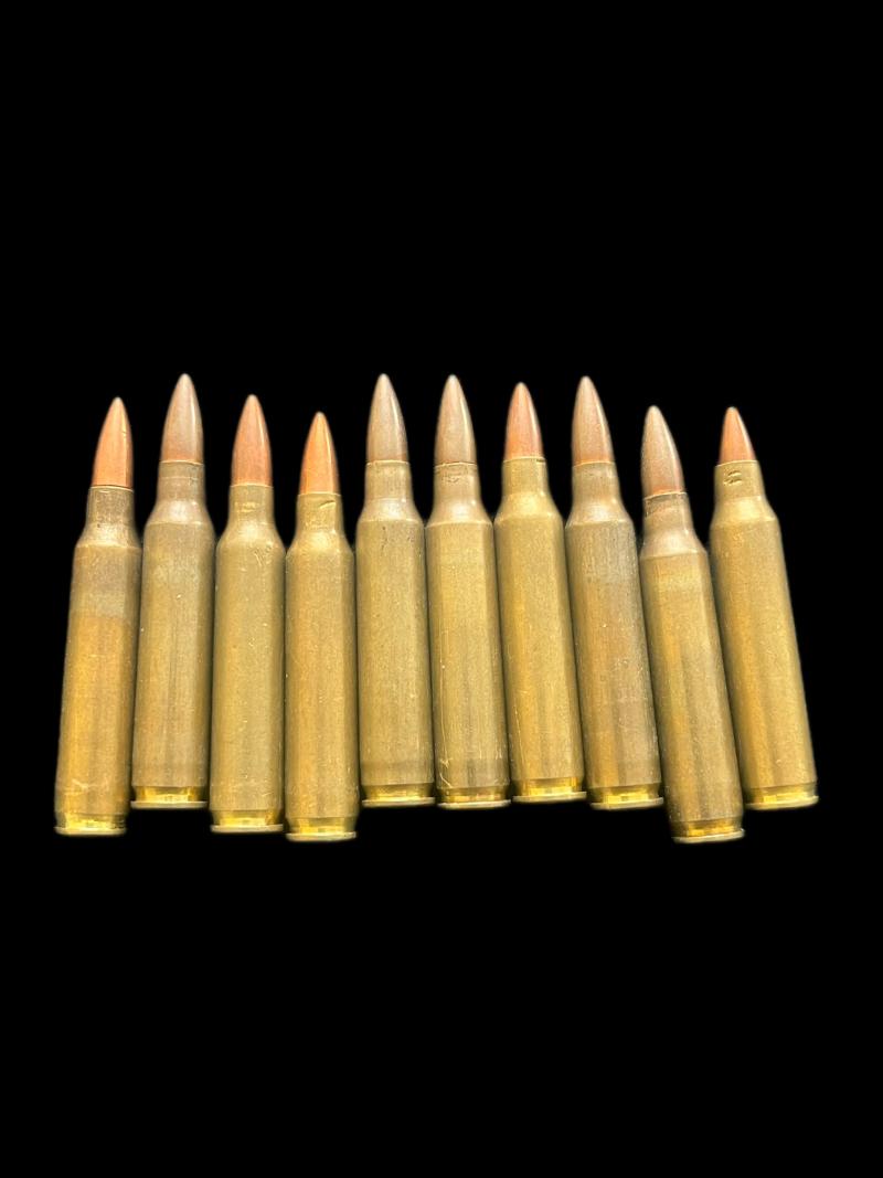 10 X 5.56 INERT ROUNDS