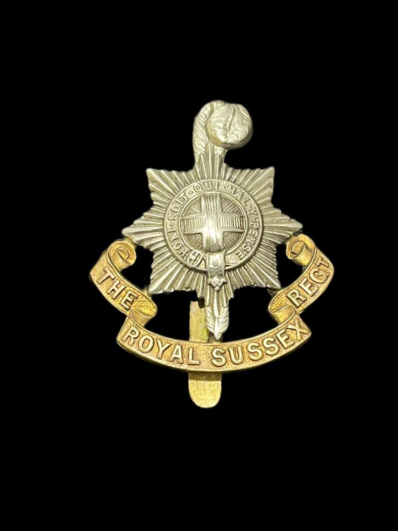 THE ROYAL SUSSEX REGIMENT CAP BADGE