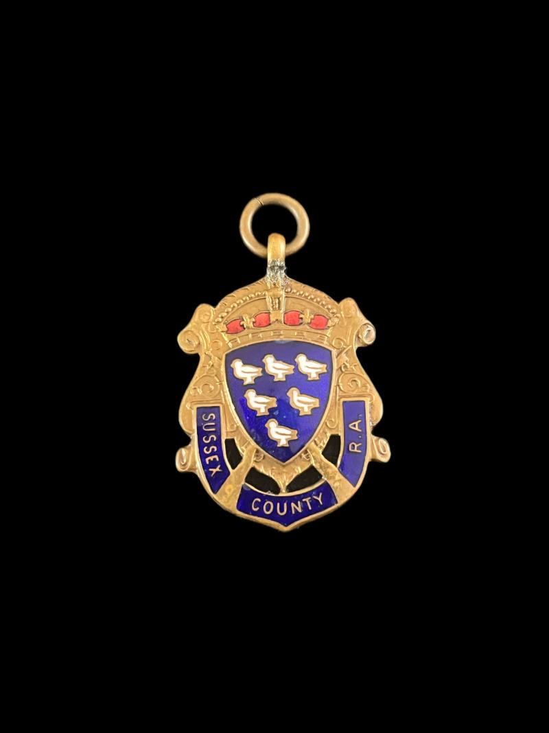 SUSSEX COUNTY RA MEDAL IN BRONZE