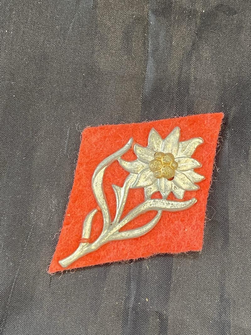 WW2 GERMAN SA GEBIRGSJAGER CAPBADGE