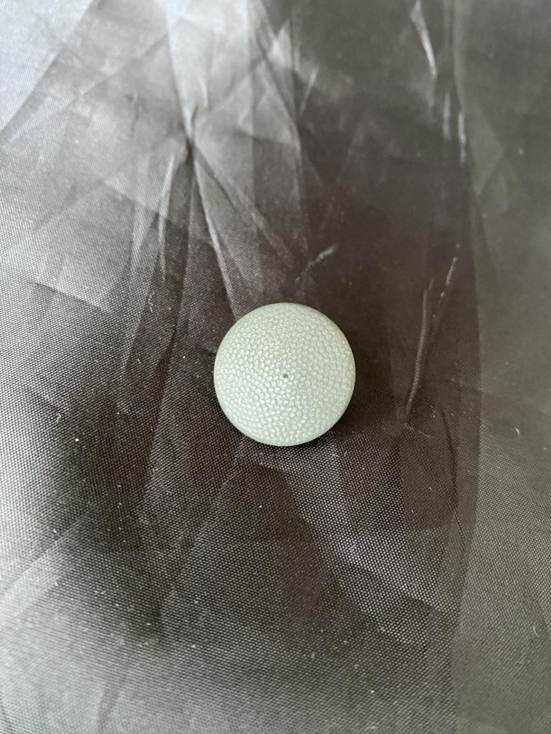 WW2 GERMAN BUTTON