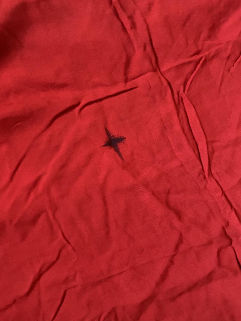 Chase Militaria WW2 GERMAN NSDAP POLITICAL PARTY LARGE FLAG (1.8M X 3.2M)