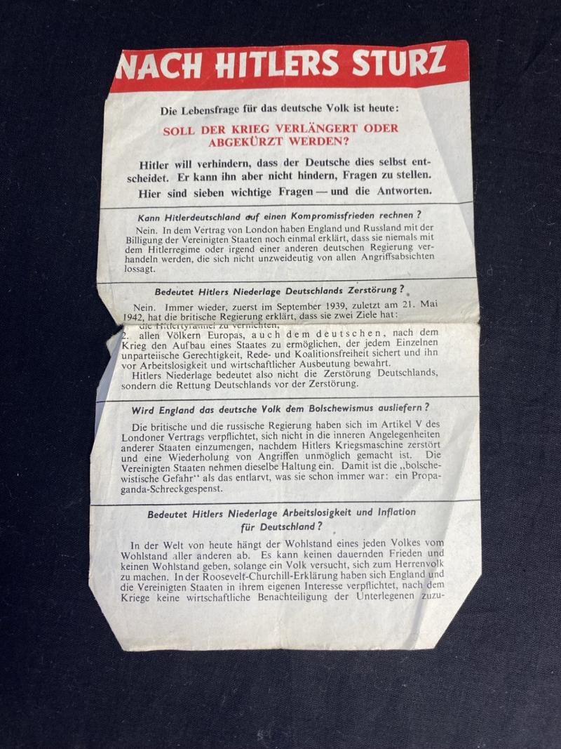 WW2 ALLIED PROPAGANDA NACH HITLERS STURZ 